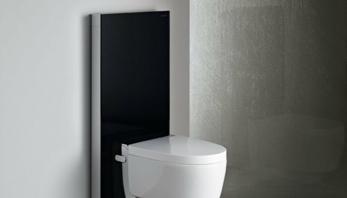 Aktionsmonat Mai! 20 % Rabatt auf alle Geberit AquaClean Dusch-WC-Modelle und Monolith-Module